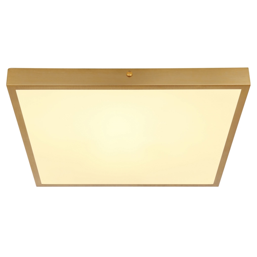 Globo - Стельовий LED світильник LED/22W/230V 35x35 см