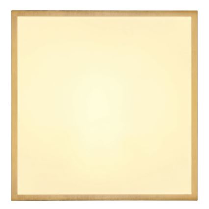 Globo - Стельовий LED світильник LED/22W/230V 35x35 см