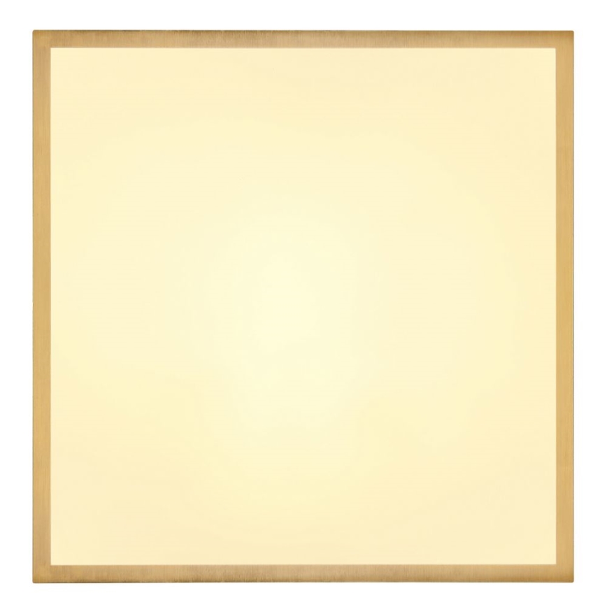 Globo - Стельовий LED світильник LED/22W/230V 35x35 см