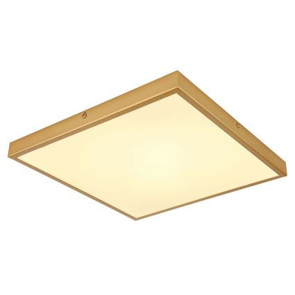Globo - Светодиодный потолочный светильник LED/22W/230V 35x35 см