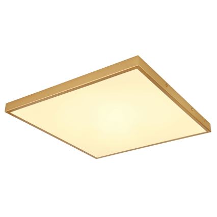 Globo - Стельовий LED світильник LED/30W/230V 45x45 см