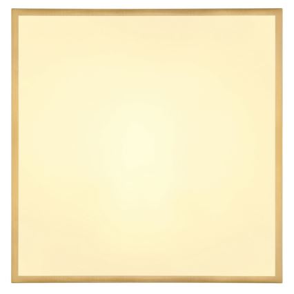Globo - Стельовий LED світильник LED/30W/230V 45x45 см