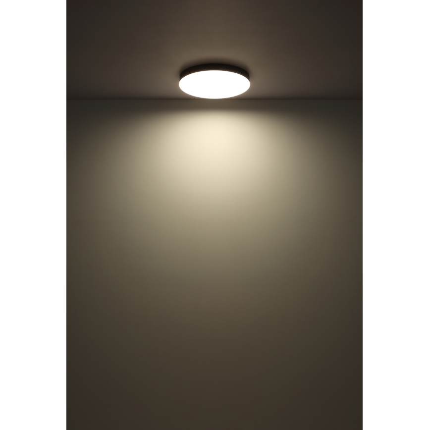 Globo - Светодиодный потолочный светильник LED/24W/230V 3000K/4000K/6500K диаметр 30 см черный