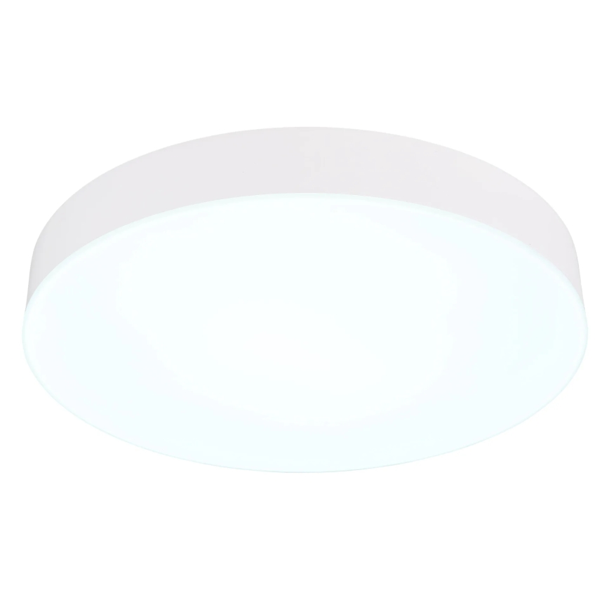 Globo - Стельовий LED світильник LED/24W/230V 3000K/4000K/6500K діаметр 30 см білий