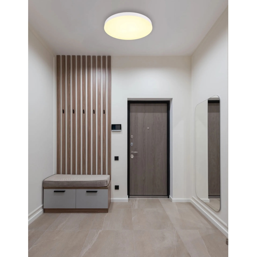 Globo - Стельовий LED світильник LED/50W/230V 3000K/4000K/6500K діаметр 50 см білий