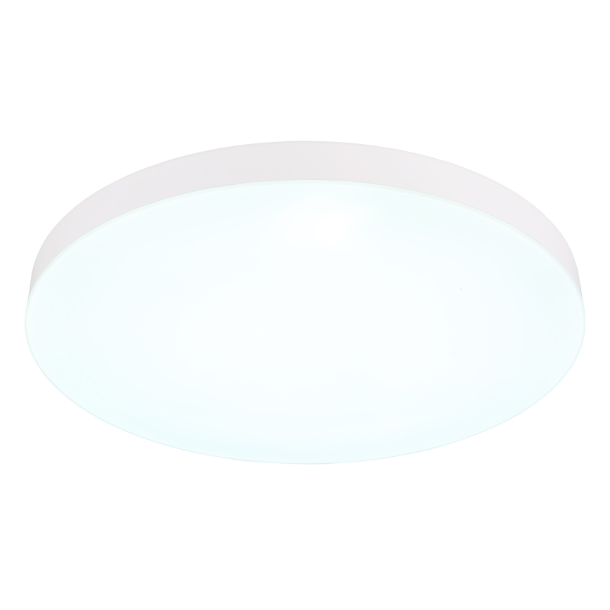 Globo - Стельовий LED світильник LED/50W/230V 3000K/4000K/6500K діаметр 50 см білий