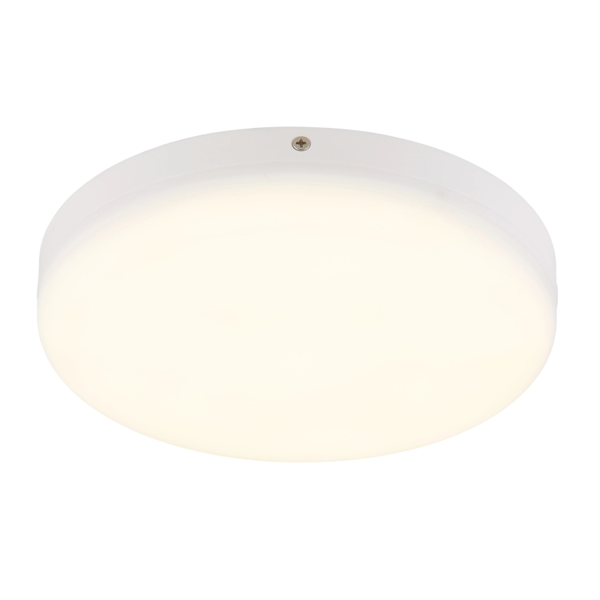 Globo - Светодиодный потолочный светильник LED/12W/230V 4000K диаметр 22 см белый
