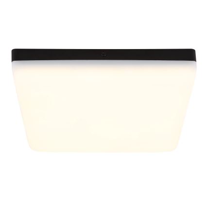 Globo - Стельовий LED світильник LED/12W/230V 4000K 22x22 см чорний