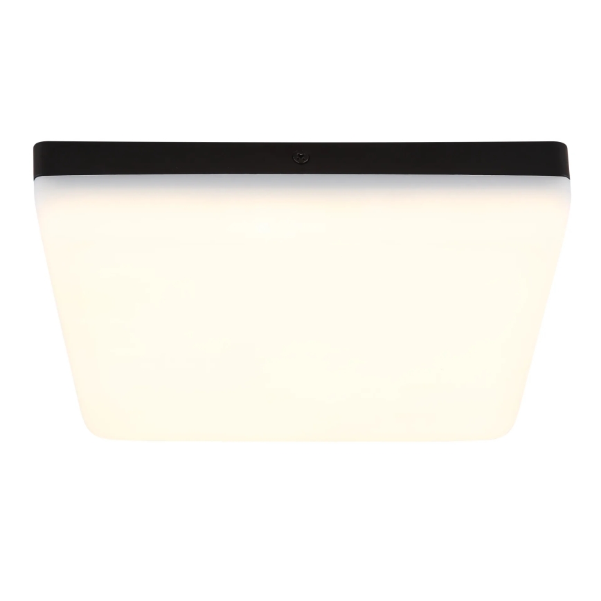 Globo - Стельовий LED світильник LED/12W/230V 4000K 22x22 см чорний
