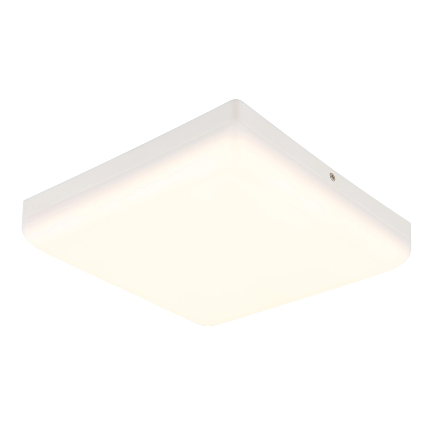 Globo - Стельовий LED світильник LED/12W/230V 4000K 22x22 см білий