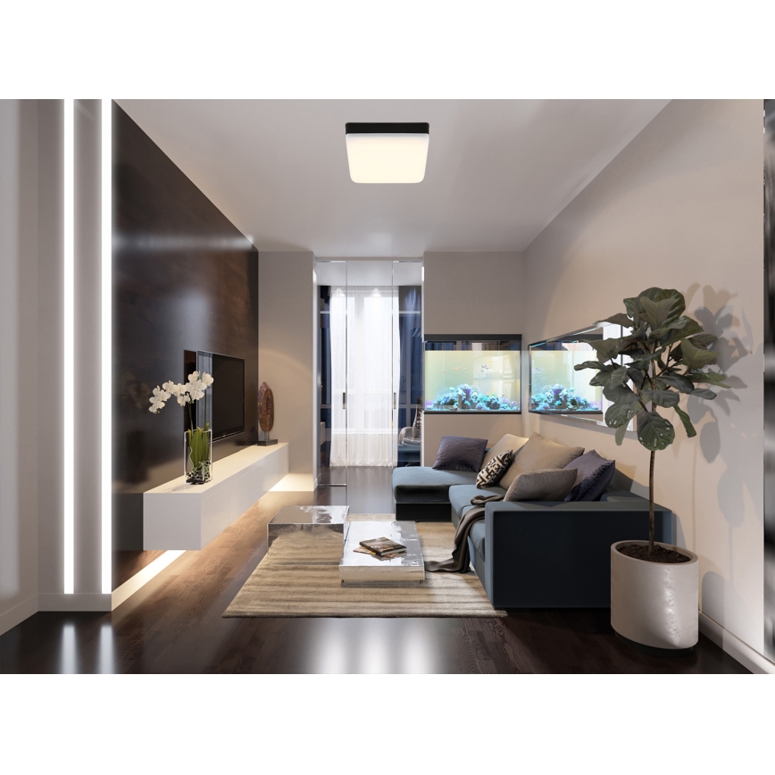 Globo - Светодиодный потолочный светильник LED/8W/230V 4000K 12x12 см черный
