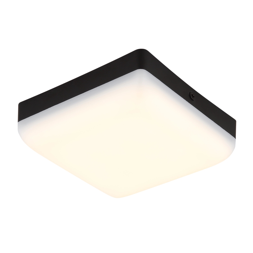 Globo - Светодиодный потолочный светильник LED/8W/230V 4000K 12x12 см черный