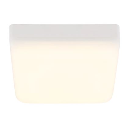 Globo - Стельовий LED світильник LED/8W/230V 4000K 12x12 см білий