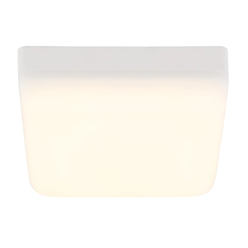 Globo - Стельовий LED світильник LED/8W/230V 4000K 12x12 см білий