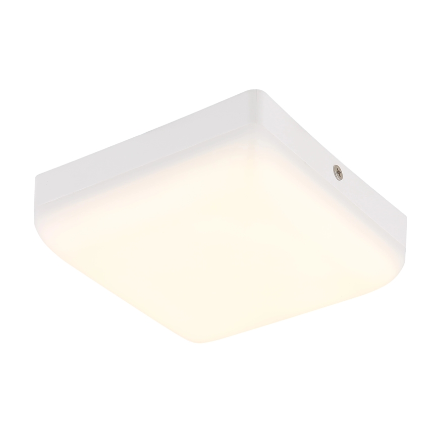 Globo - Светодиодный потолочный светильник LED/8W/230V 4000K 12x12 см белый