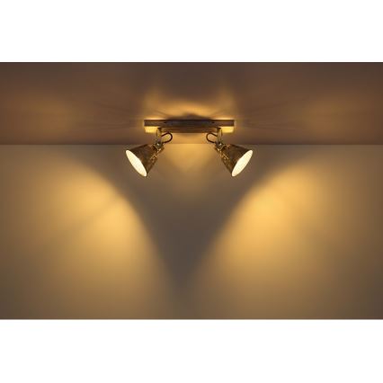 Globo - Точковий світильник 2xE27/60W/230V ялина