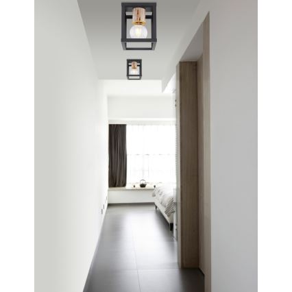 Globo 15476D - Потолочный светильник HAGAR 1xE27/60W/230V