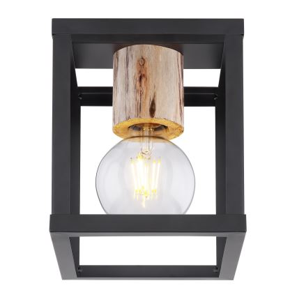 Globo 15476D - Потолочный светильник HAGAR 1xE27/60W/230V