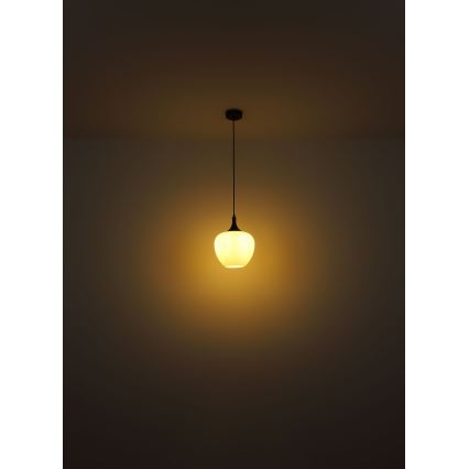 Globo - Підвісна люстра 1xE27/60W/230V діаметр 29 см білий/коричневий