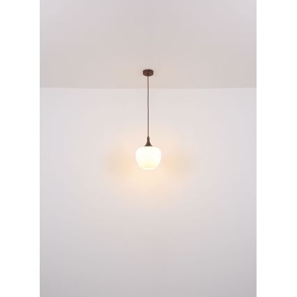 Globo - Подвесная люстра 1xE27/60W/230V диаметр 29 см белый/коричневый