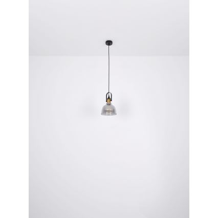 Globo - Підвісна люстра 1xE27/60W/230V діаметр 20 см