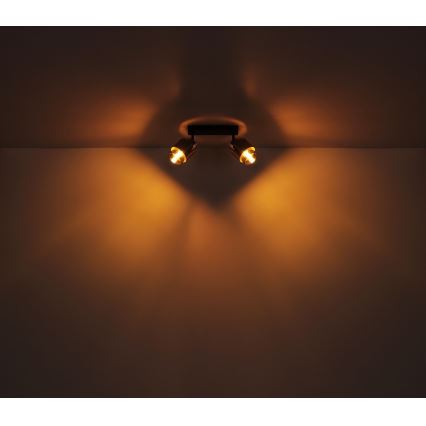 Globo - Точковий світильник 2xE27/40W/230V чорний/латунь