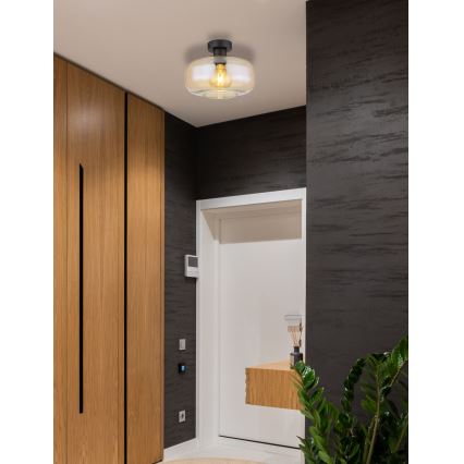 Globo - Припотолочная люстра 1xE27/40W/230V диаметр 28 см прозрачный