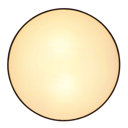 Globo 15582D - Стельовий світильник INGEBORG 2xE27/15W/230V