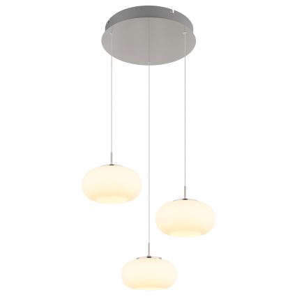 Globo - Светодиодная подвесная люстра 3xLED/6W/230V