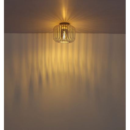 Globo - Потолочный светильник 1xE27/40W/230V Ø 28 см