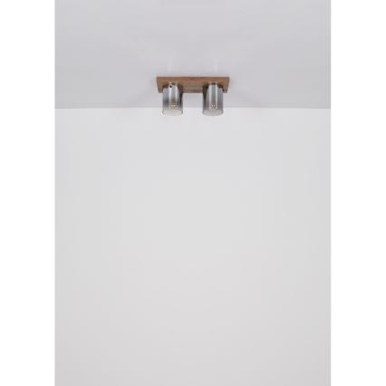 Globo - Потолочный светильник 2xE27/40W/230V 16x41 см