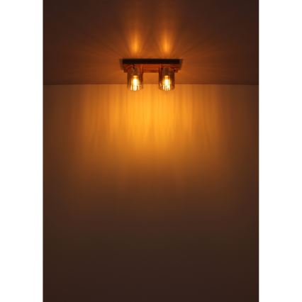 Globo - Потолочный светильник 2xE27/40W/230V 16x41 см