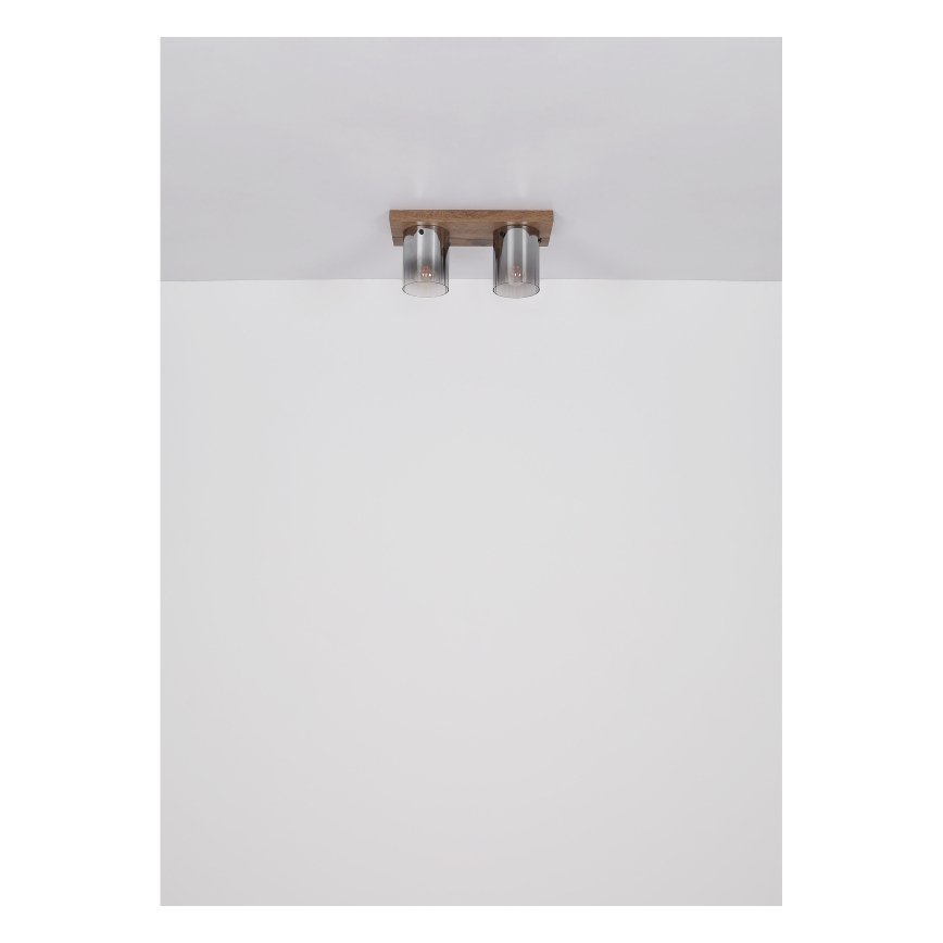 Globo - Потолочный светильник 2xE27/40W/230V 16x41 см