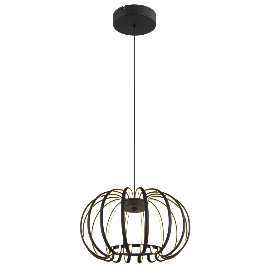 Globo - LED підвісна люстра на тросі з регулюванням яскравості LED/40W/230V 3000K чорна