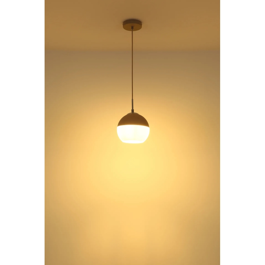 Globo - Підвісна люстра на тросі 1xE27/60W/230V, діаметр 20 см