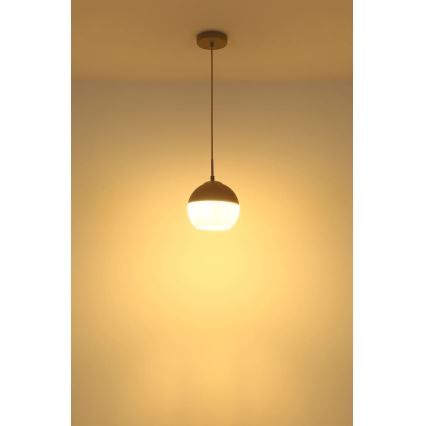 Globo - Люстра на шнуре 1xE27/60W/230V, диаметр 20 см