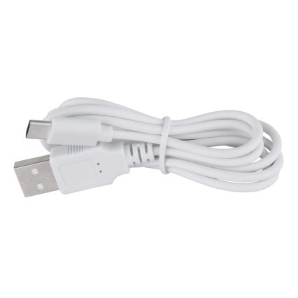 Globo - LED Настільна акумуляторна лампа з регулюванням яскравості LED/2,5W/3,7V 1200mAh 2700K/4500K/6500K білий