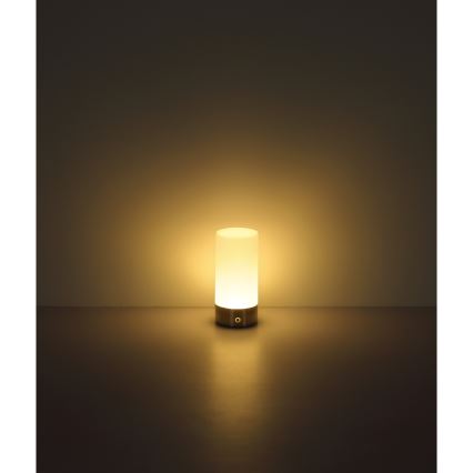 Globo - LED RGBW Сенсорна вулична настільна лампа з регулюванням яскравості LED/1,8W/5V 1500 mAh IP44 матовий хром