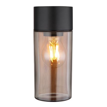 Globo - Уличный настенный светильник 1xE27/40W/230V IP44