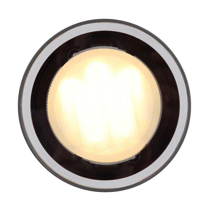 Globo - Зовнішній стельовий світильник 1xGX53/11W/230V IP44