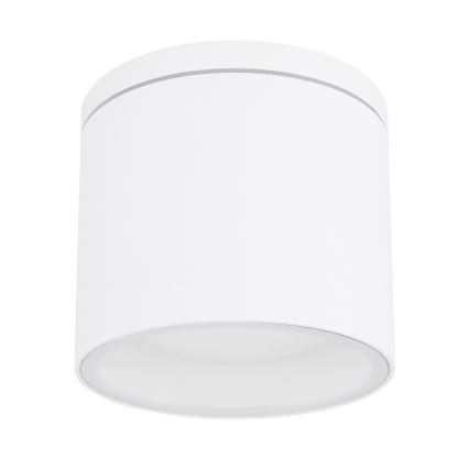 Globo - Зовнішній стельовий світильник 1xGX53/11W/230V IP44