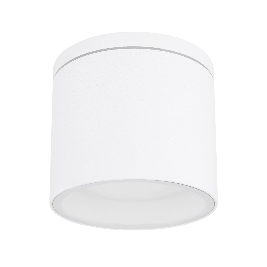 Globo - Зовнішній стельовий світильник 1xGX53/11W/230V IP44
