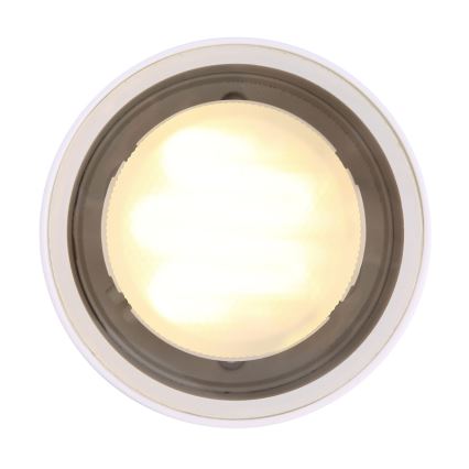 Globo - Зовнішній стельовий світильник 1xGX53/11W/230V IP44