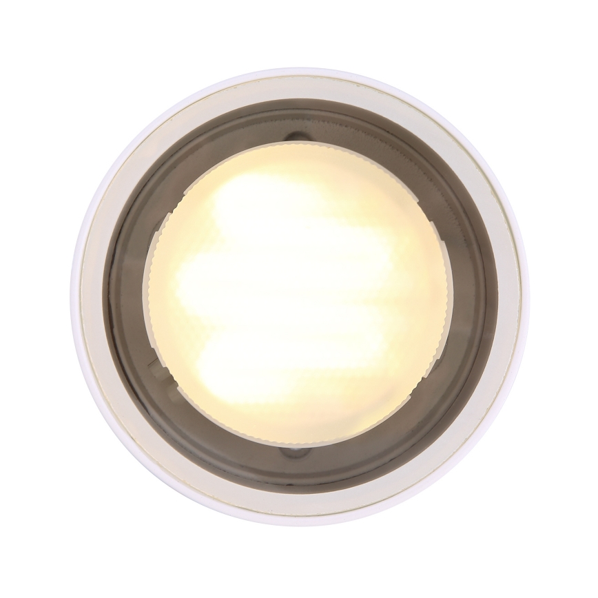 Globo - Зовнішній стельовий світильник 1xGX53/11W/230V IP44