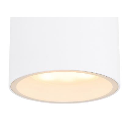 Globo - Зовнішній стельовий світильник 1xGX53/11W/230V IP44
