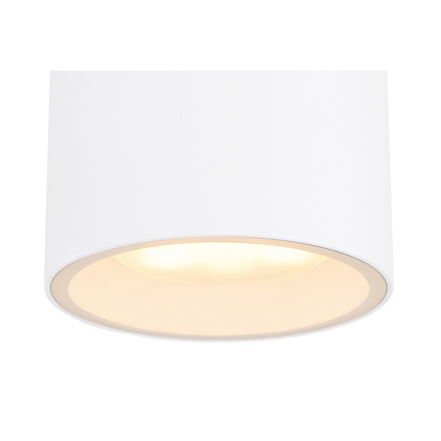 Globo - Зовнішній стельовий світильник 1xGX53/11W/230V IP44