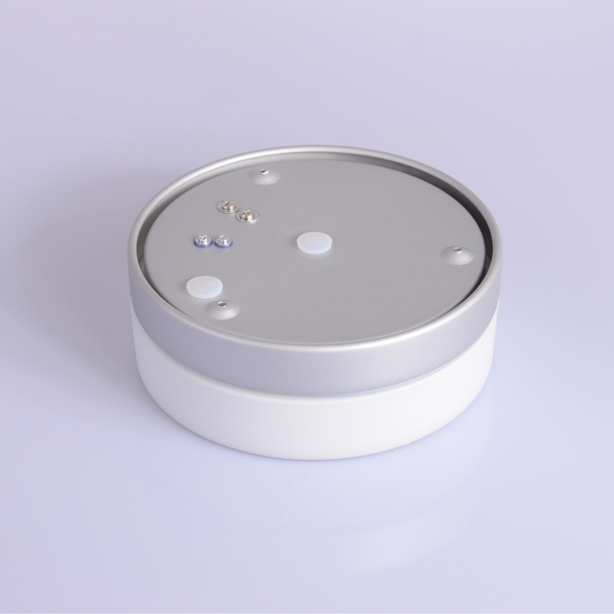 Globo - Світильник для ванної кімнати 1xE27/60W/230V діаметр 18,4 см IP44