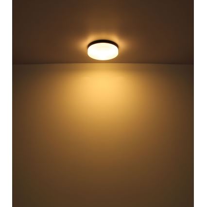 Globo - Светильник для ванной комнаты 1xE27/60W/230V диаметр 18,4 см IP44