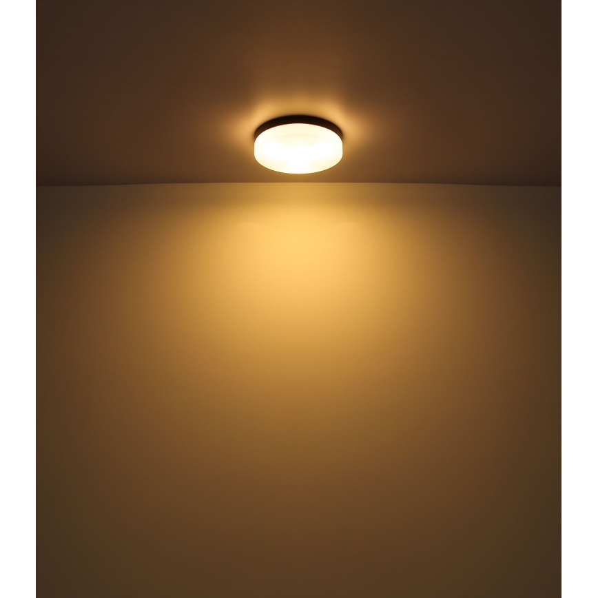 Globo - Светильник для ванной комнаты 1xE27/60W/230V диаметр 18,4 см IP44