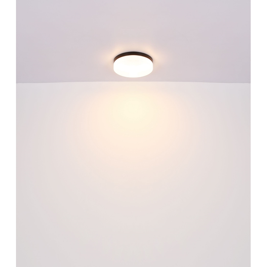 Globo - Светильник для ванной комнаты 1xE27/60W/230V диаметр 18,4 см IP44